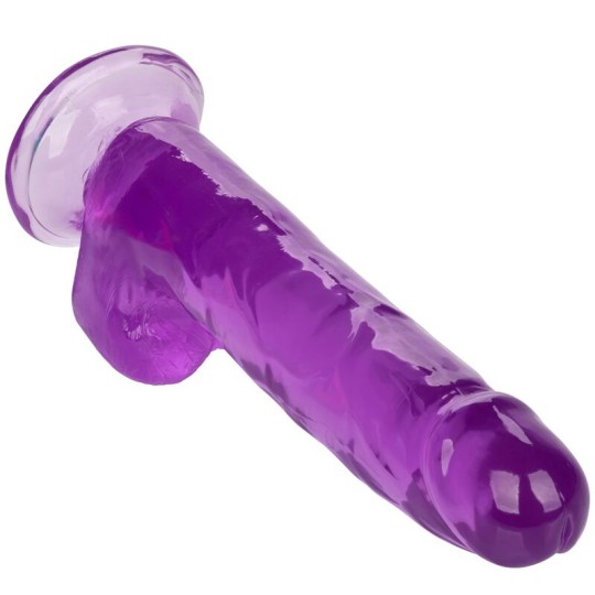 CALEXOTICS - GRÖSSE KÖNIGIN-DILDO LILA 20.3 CM CALEXOTICS - GRÖSSE KÖNIGIN-DILDO LILA 20.3 CM